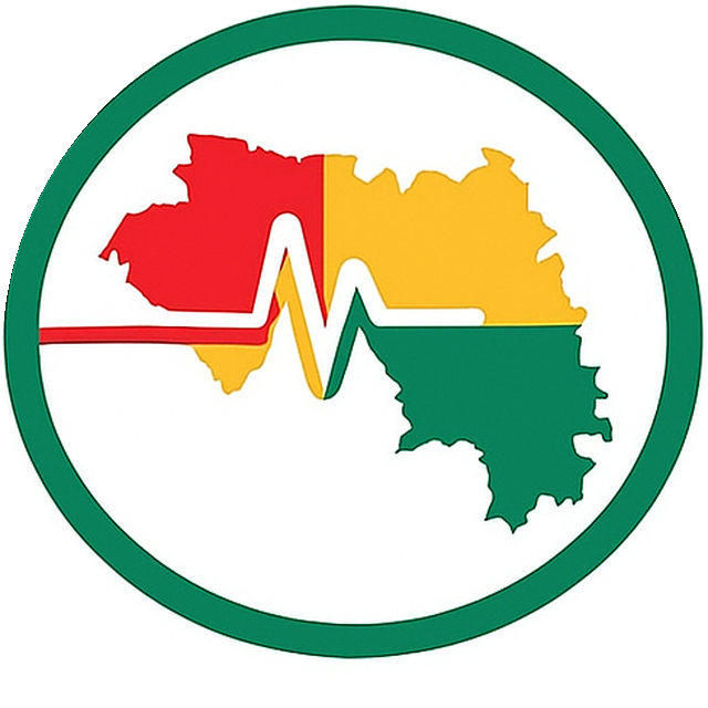 Guinée HealthLink logo