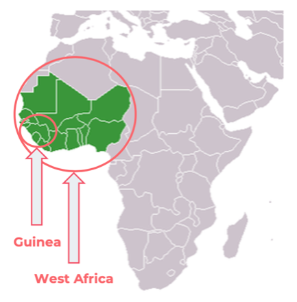 Illustration of Guinea health system challenges